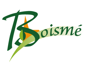 Logo Mairie de Boismé